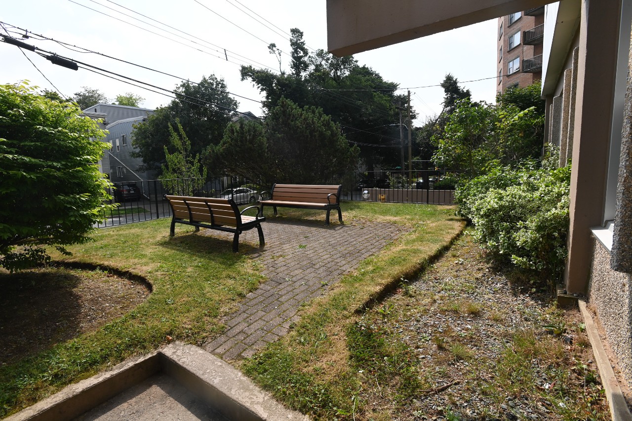 The shared courtyard near the front entrance has two park benches and several bushes and shrubs along the brick walkway