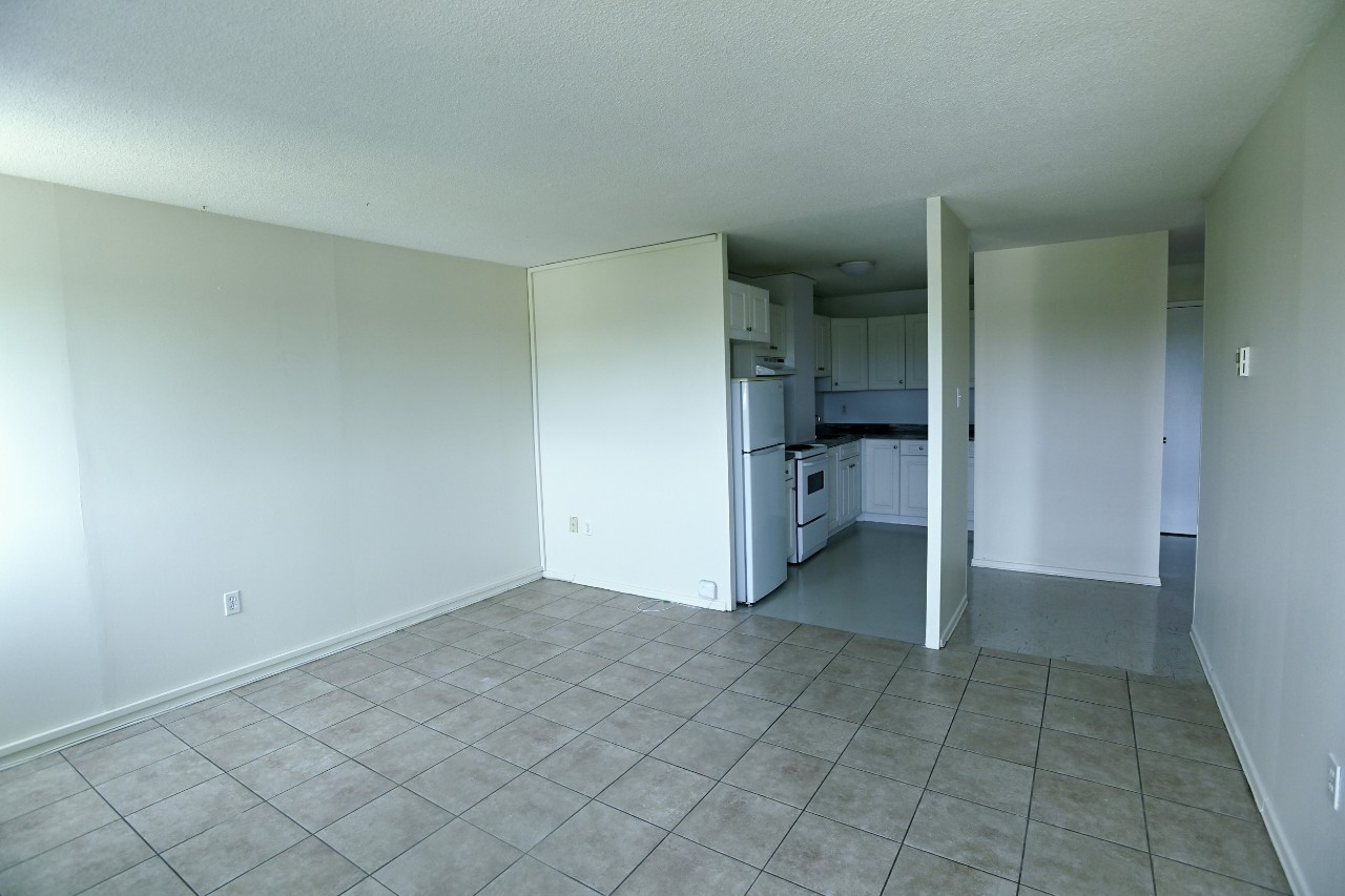 The large living room in a one-bedroom unit opens onto the kitchen and hallway. It has tile floors and light green walls.