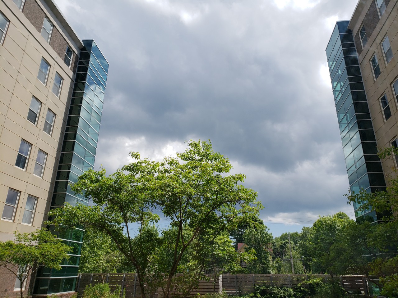The Risley courtyard between the towers, with trees and open seating space.