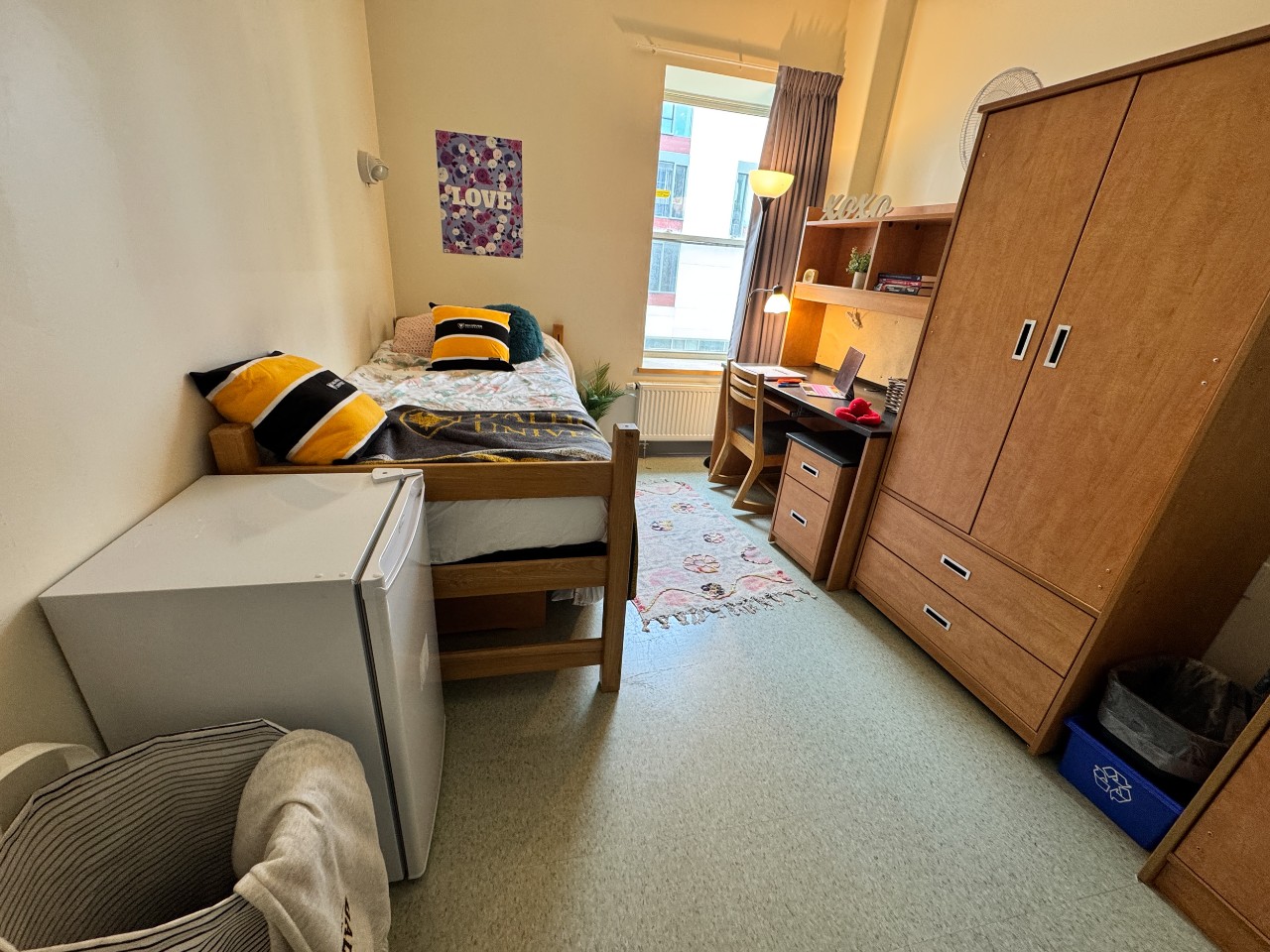 A single room in Risley Hall with an adjustable bed, desk, wardrobe, and a mini fridge. 