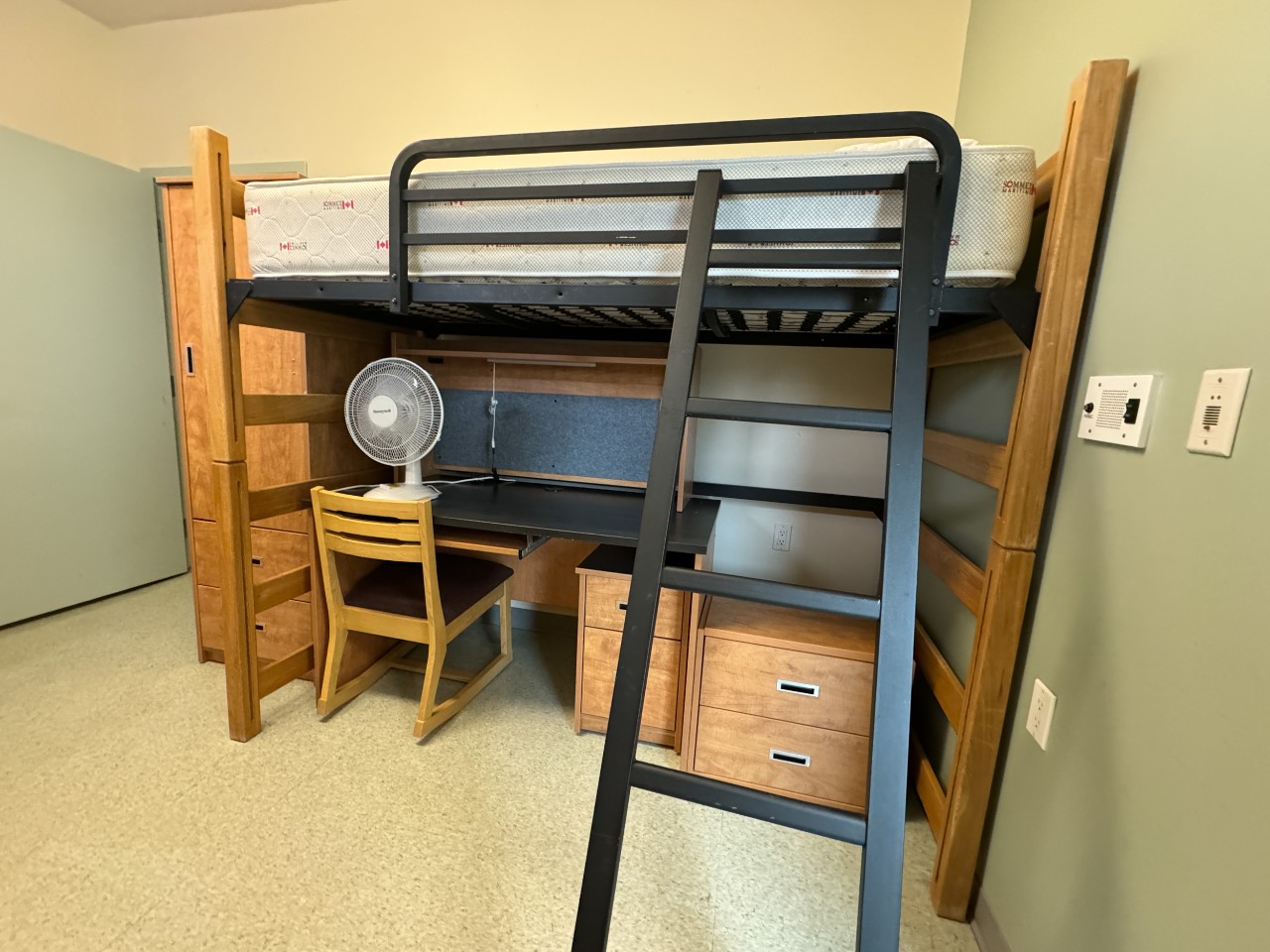 A loft bed in a double room in Risley Hall, with bed on top and desk underneath. A ladder leads up to the bed.