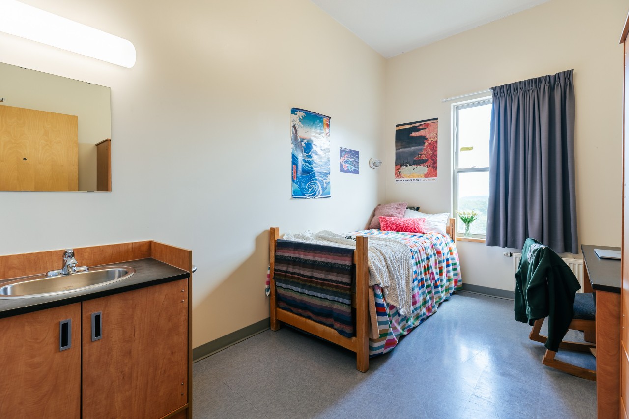 A single room in Risley Hall with a bed, desk, and wardrobe. The walls are decorated with posters and there is a built-in sink in the corner.