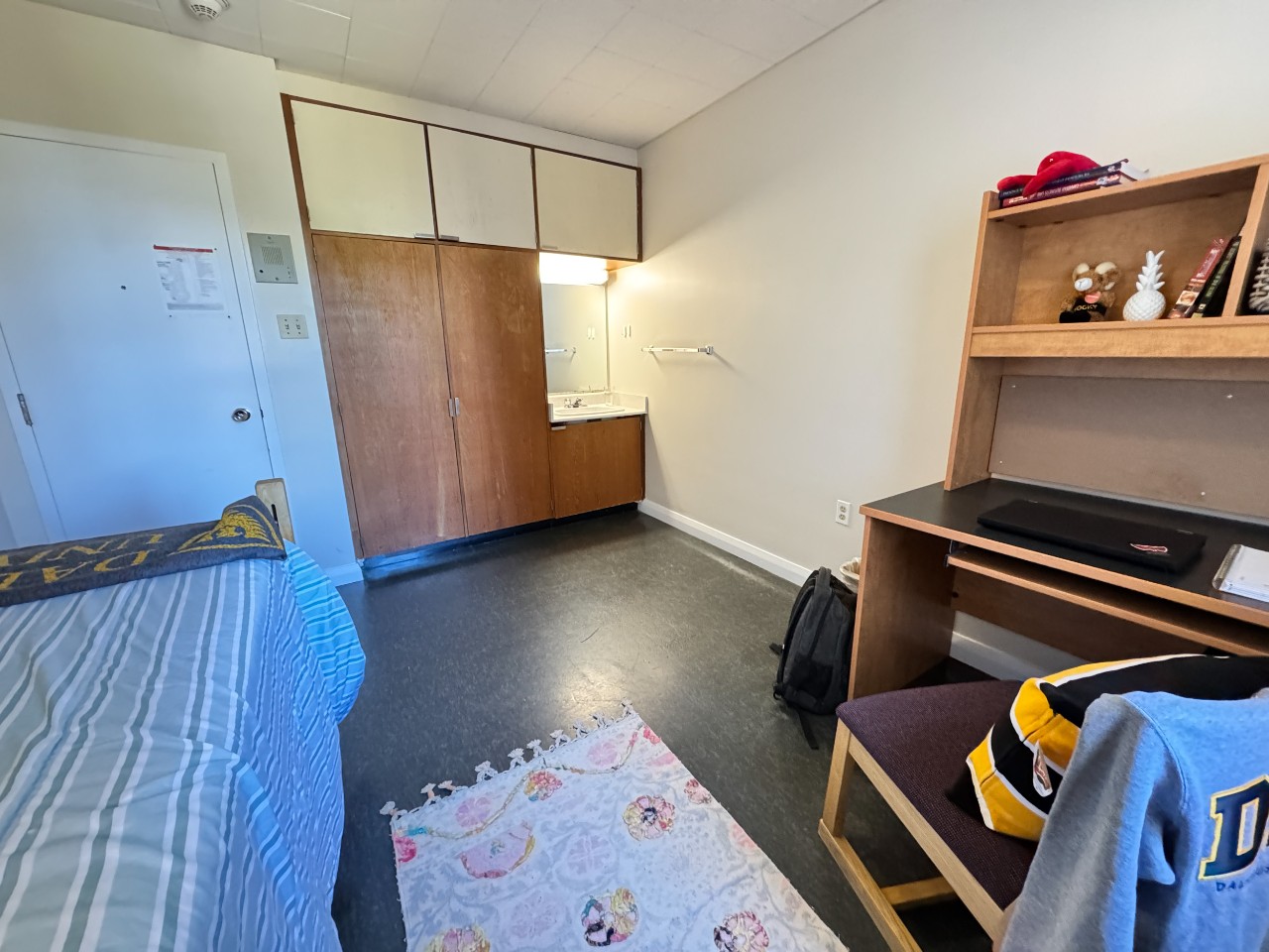 This single room has a bed, desk, built-in closet, and a sink and mirror