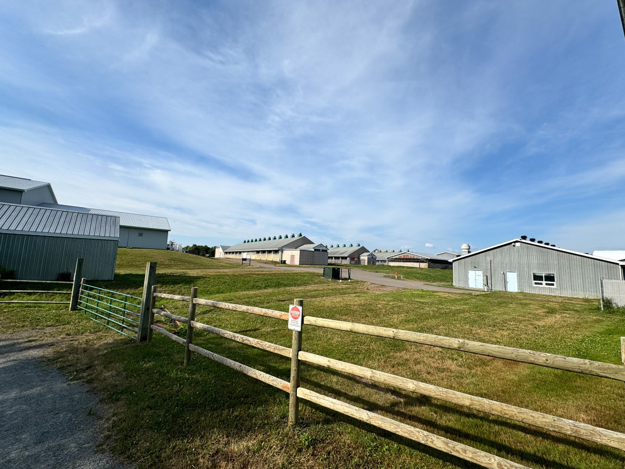 The campus farm at the Agriculural Campus, with wooden fences and farm buildings.