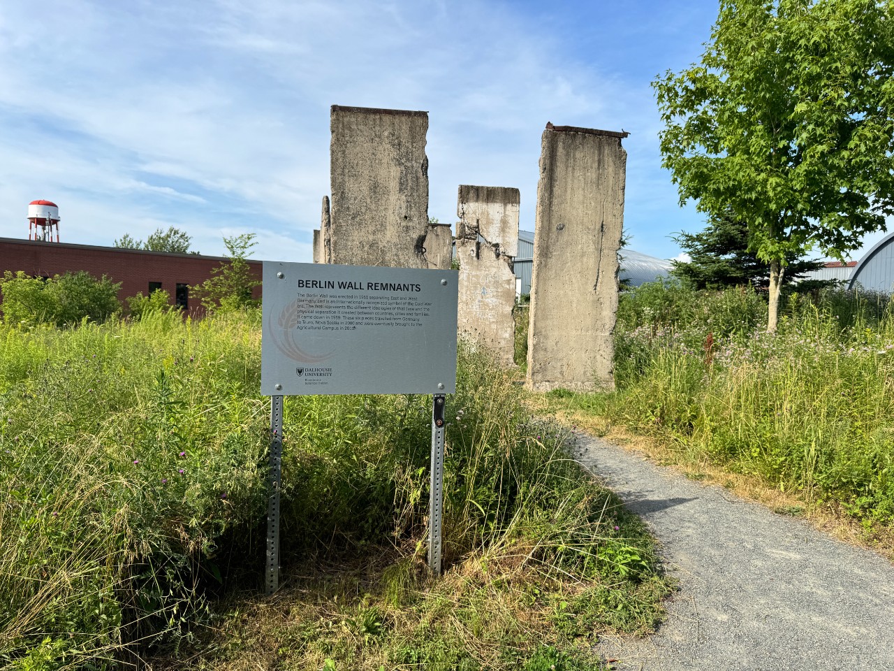 Several segments of the Berlin Wall stand in a grassy area behind the Agricultural Campus.