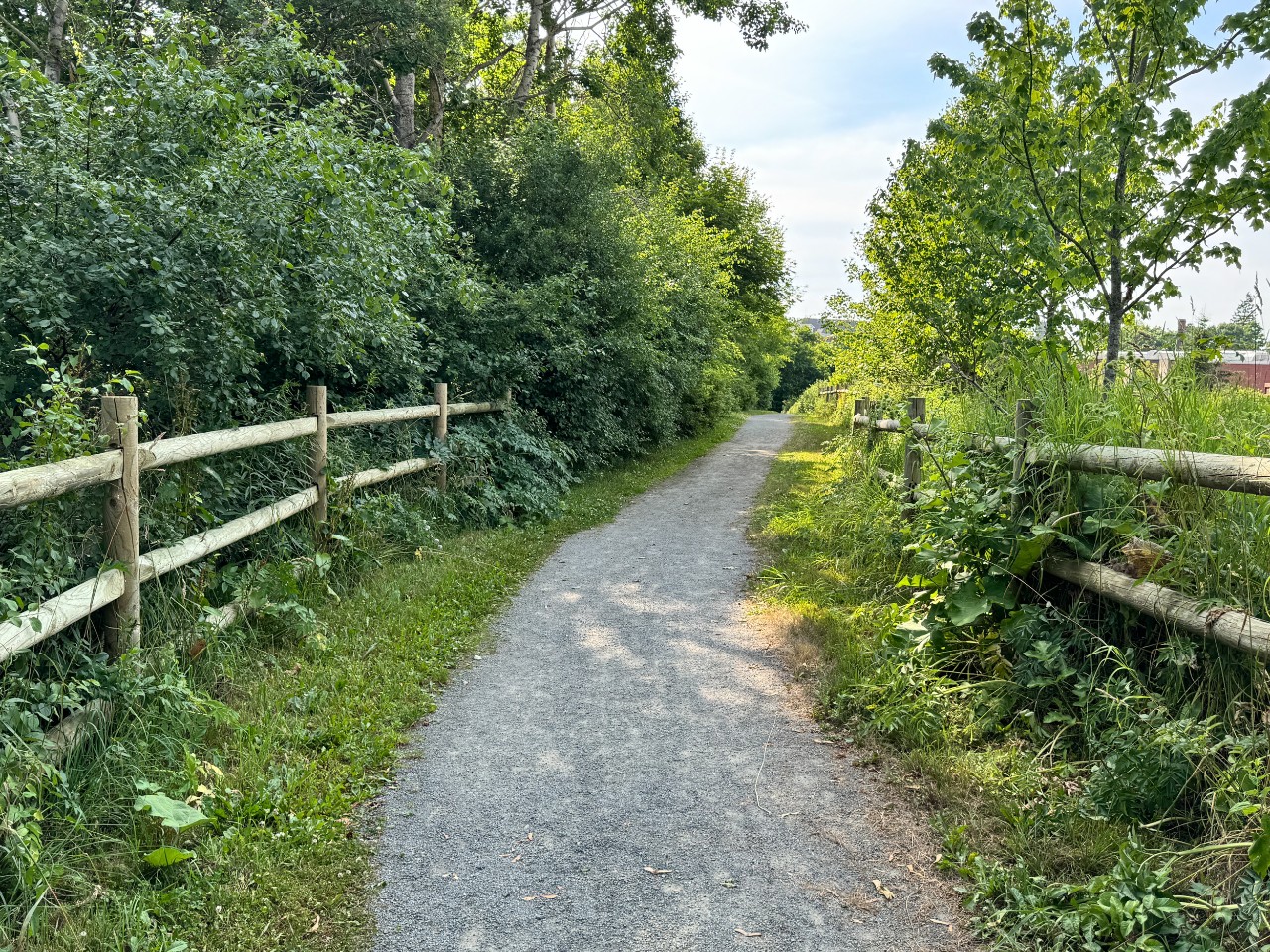 The shady Cobequid trail that runs behind the Agricultural Campus.