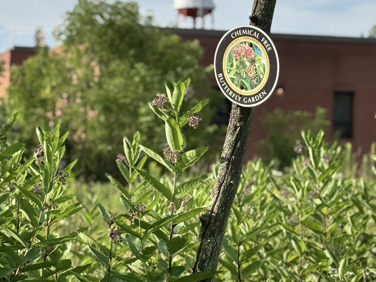 A small sign on a post marks the chemical free butterfly garden along the walking path at the Agricultural Campus