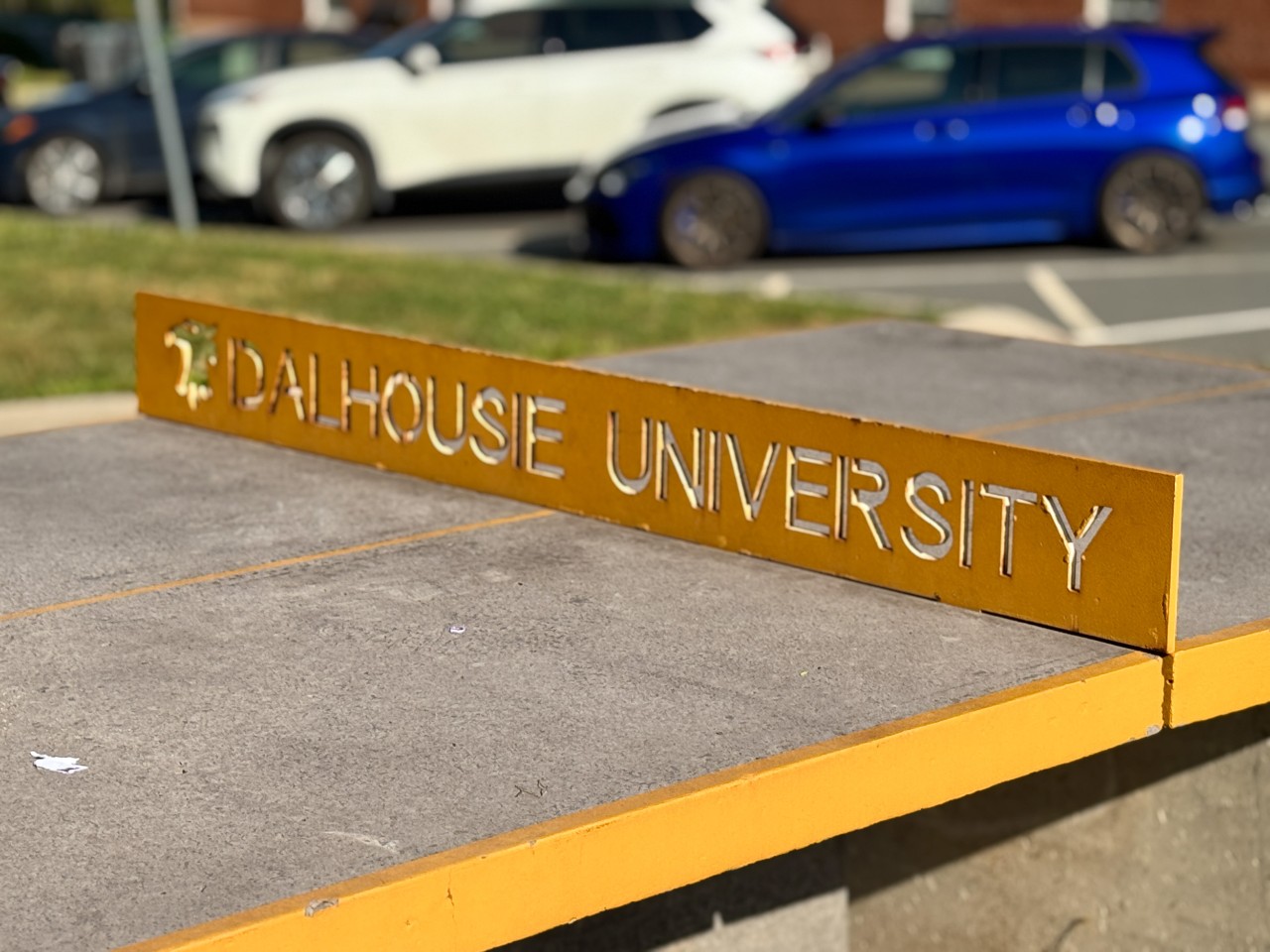 The outdoor ping pong table on the Horseshow - with Dalhousie University lazer cut into the metal divider.