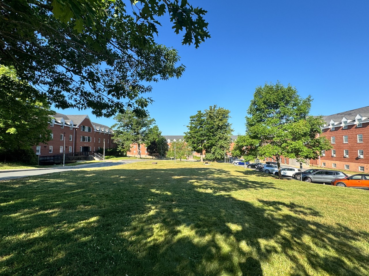 A photo of a sunny morning on the grassy Horseshoe