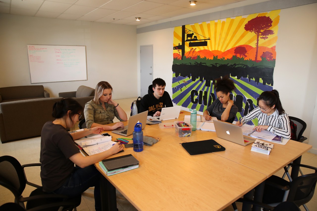 The study lounge in Chapman House, with a brightly painted farm mural, table and chairs, and brown sofas. Students study at the table.