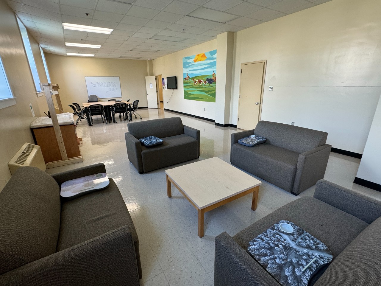 The sofas in a study lounge in Fraser House - with a bright farm mural and study table.