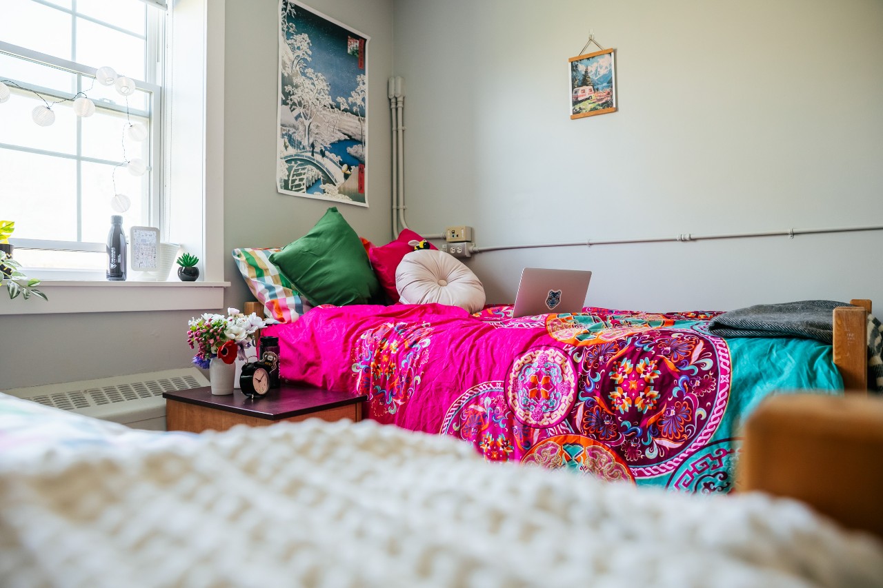 A double room in Fraser House, with brightly coloured blankets on the beds and posters on the walls.