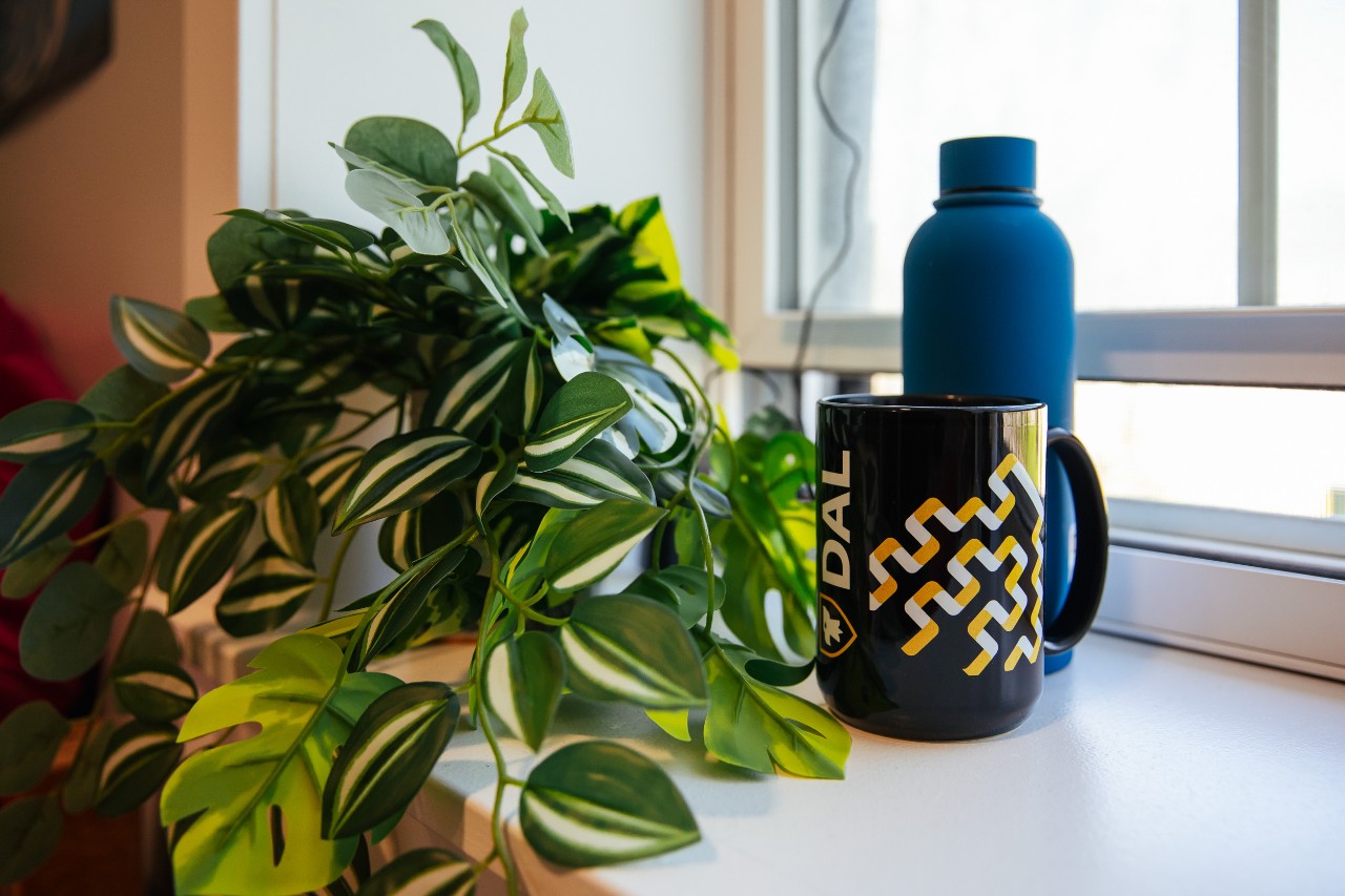 A plant, mug, and water bottle on the windowsill of a double room in Fraser House.