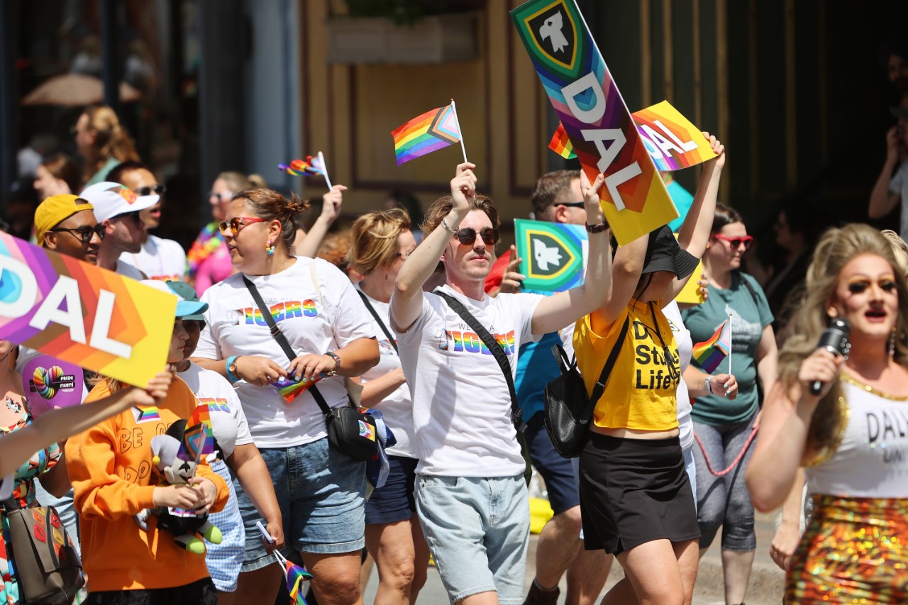 A group of people carrying rainbow flags and signs that say Dal march in a parade in the sunshine.