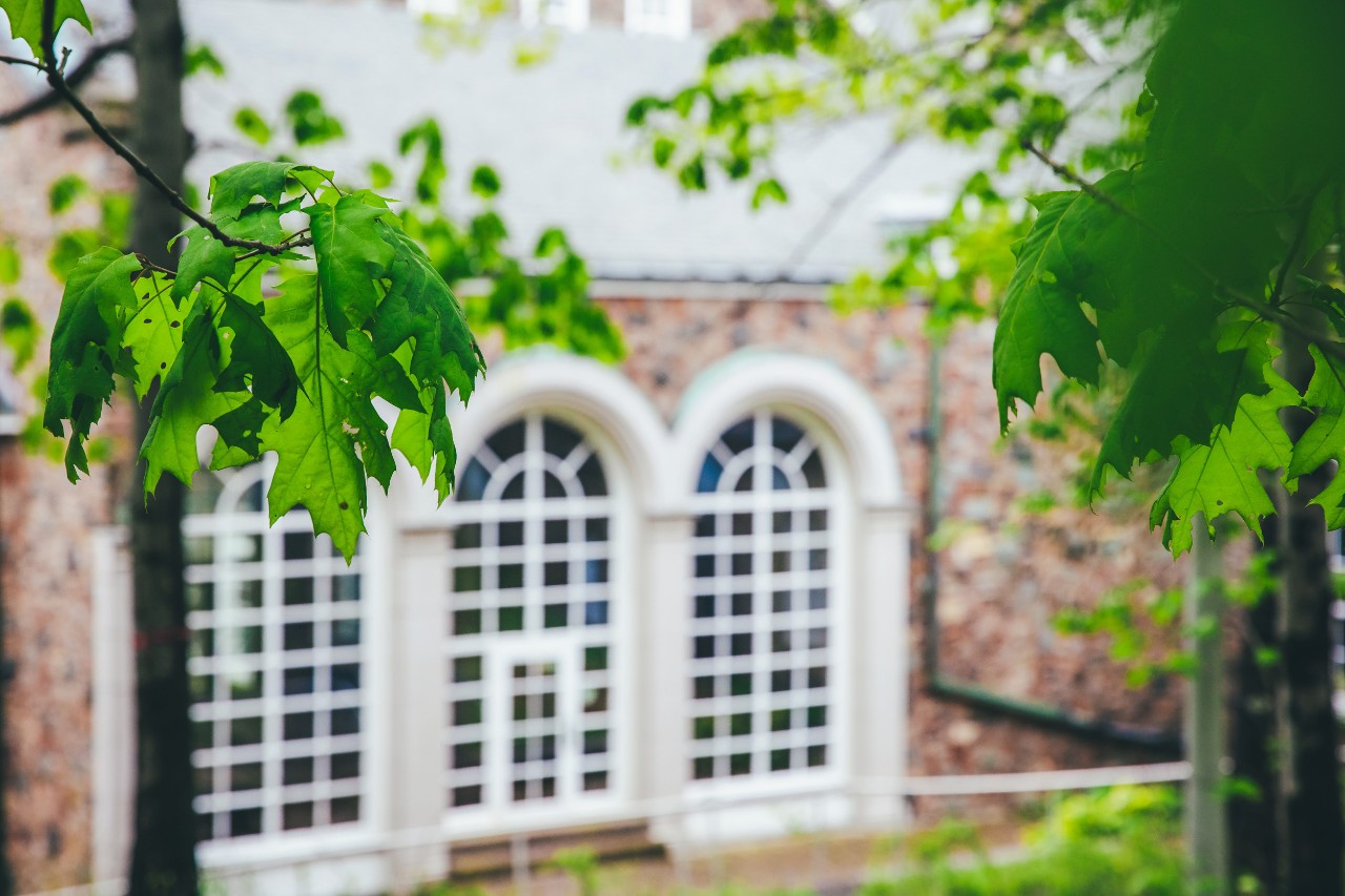 The windows of Shirreff dining hall through the leaves