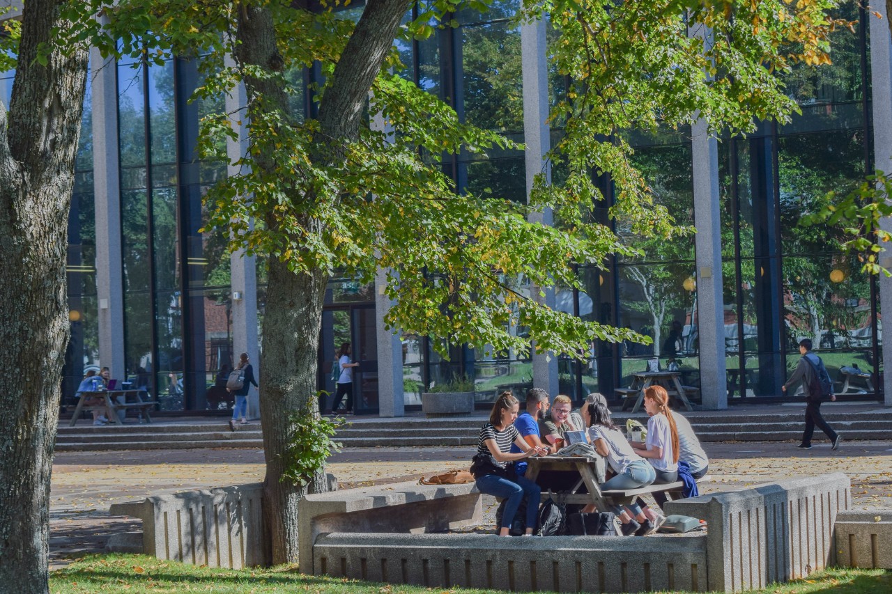 A group of students sits around a picnic table outside beside a tree. In the background is a building with a glass facade and people entering the building.