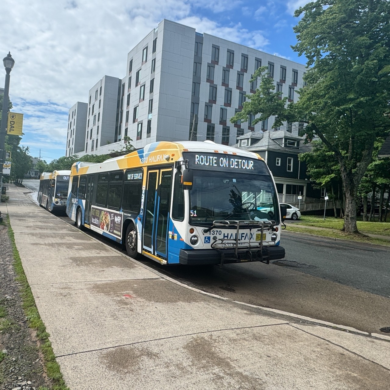 A wide photo of two Halifax Transit busses on LeMarchant Street near the bus stop