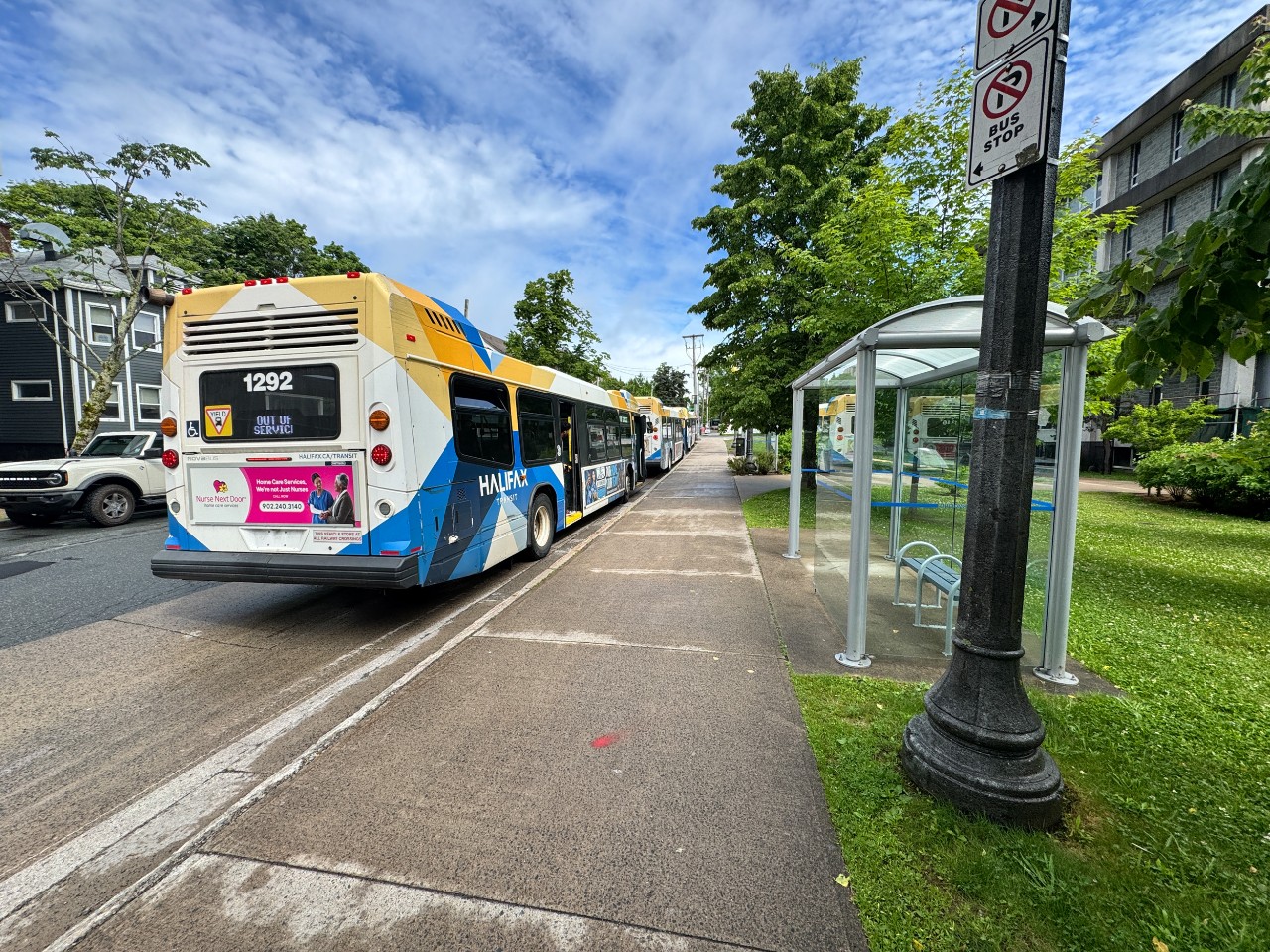 The back of a Halifax Transit bus, stopped in a line of busses near the shelter on LeMarchant Street