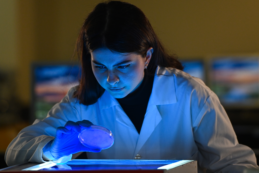 A woman wearing a lab coat and gloves examines a petri dish