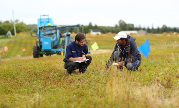 two-men-in-grass-field