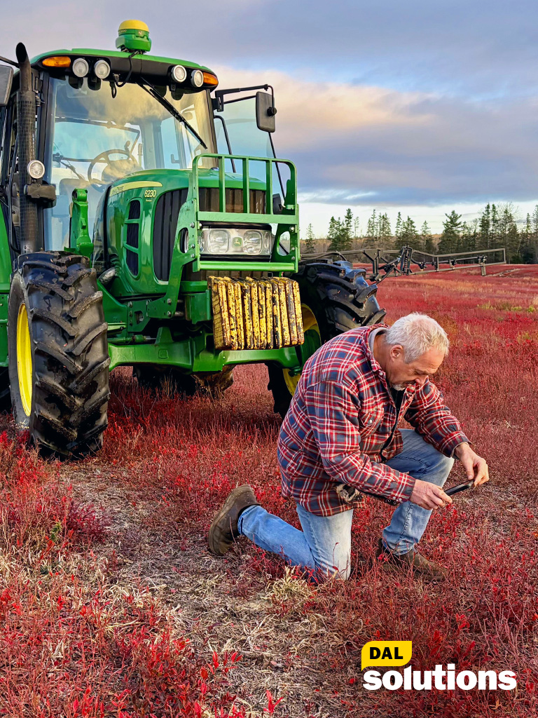 Wild blueberry farmer Peter Swinkels in his field outside Oxford Nova Scotia.