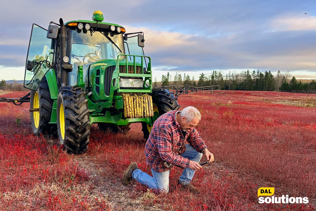 Wild blueberry farmer Peter Swinkels in his field outside Oxford Nova Scotia.