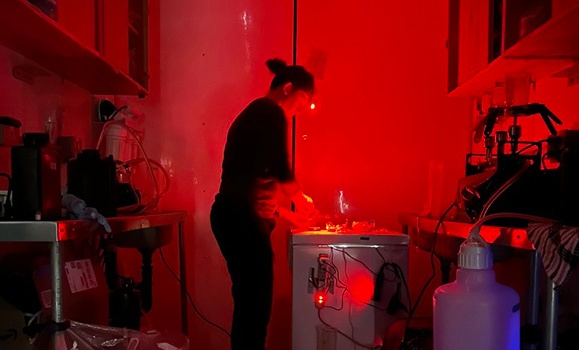 Hannah Harrison picks fish from a gillnet on a Great Lakes commercial fishing tug alongside fisherman Brett Martin. 