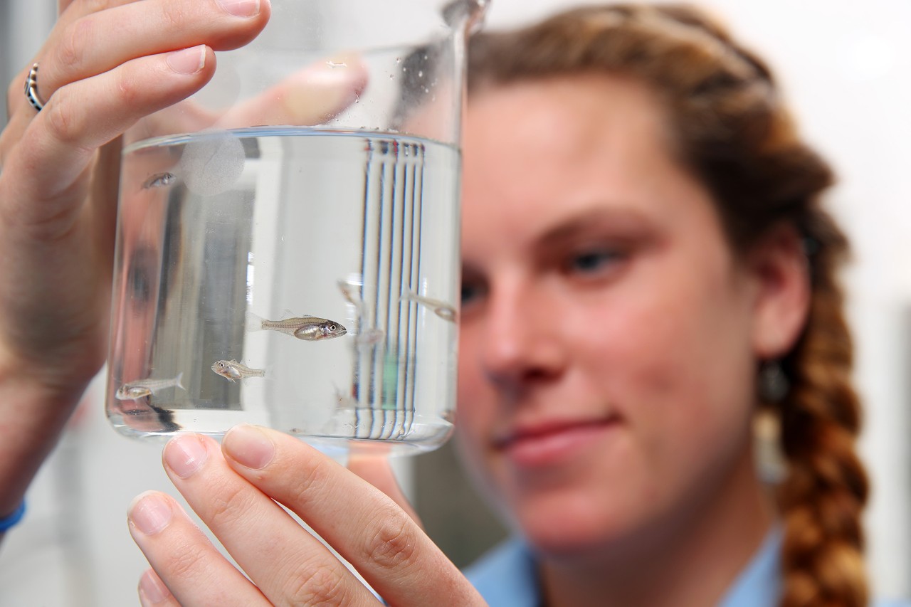 The speakers and moderator of the 2023 Stanfield Conversation are seated on stage. 