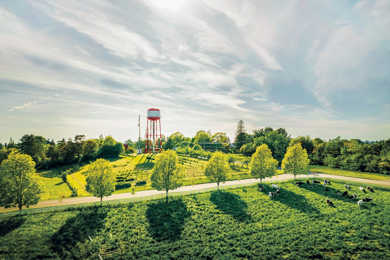 Aerial view of green fields with a red watertower and blue skies.