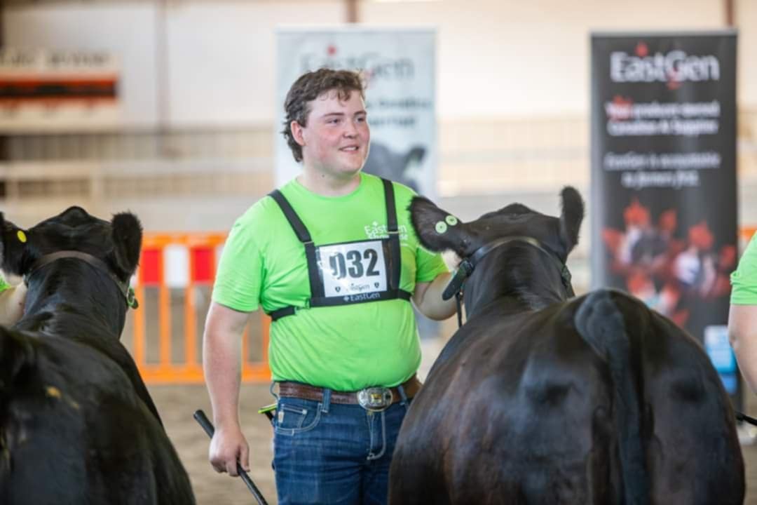 Austin Potts, Junior Angus Stockman of the Year posing with a cow