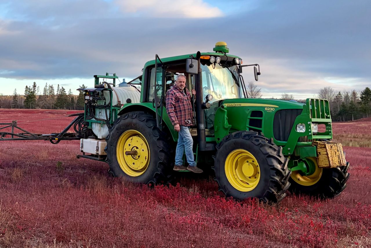 Wild blueberry farmer Peter Swinkels in his field outside Oxford Nova Scotia.
