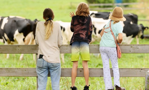 Three people looking at the cows over a fence at community day