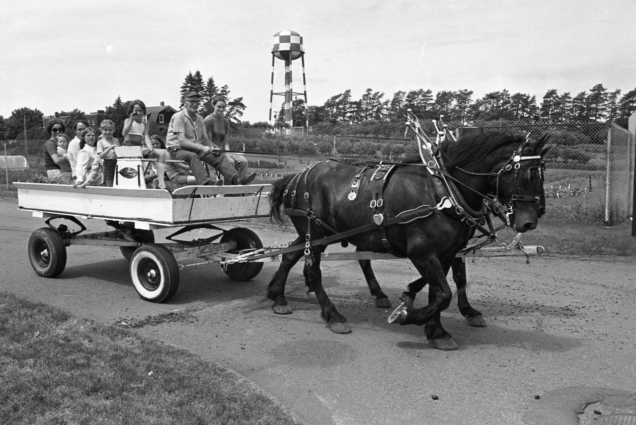 Black Clydesdale horses pull a wagon filled with children and parents. The campus watertower can be seen in the background.