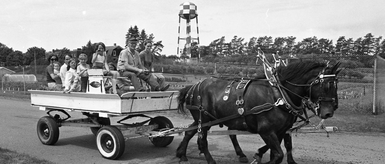 Black Clydesdale horses pull a wagon filled with children and parents. The campus watertower can be seen in the background.