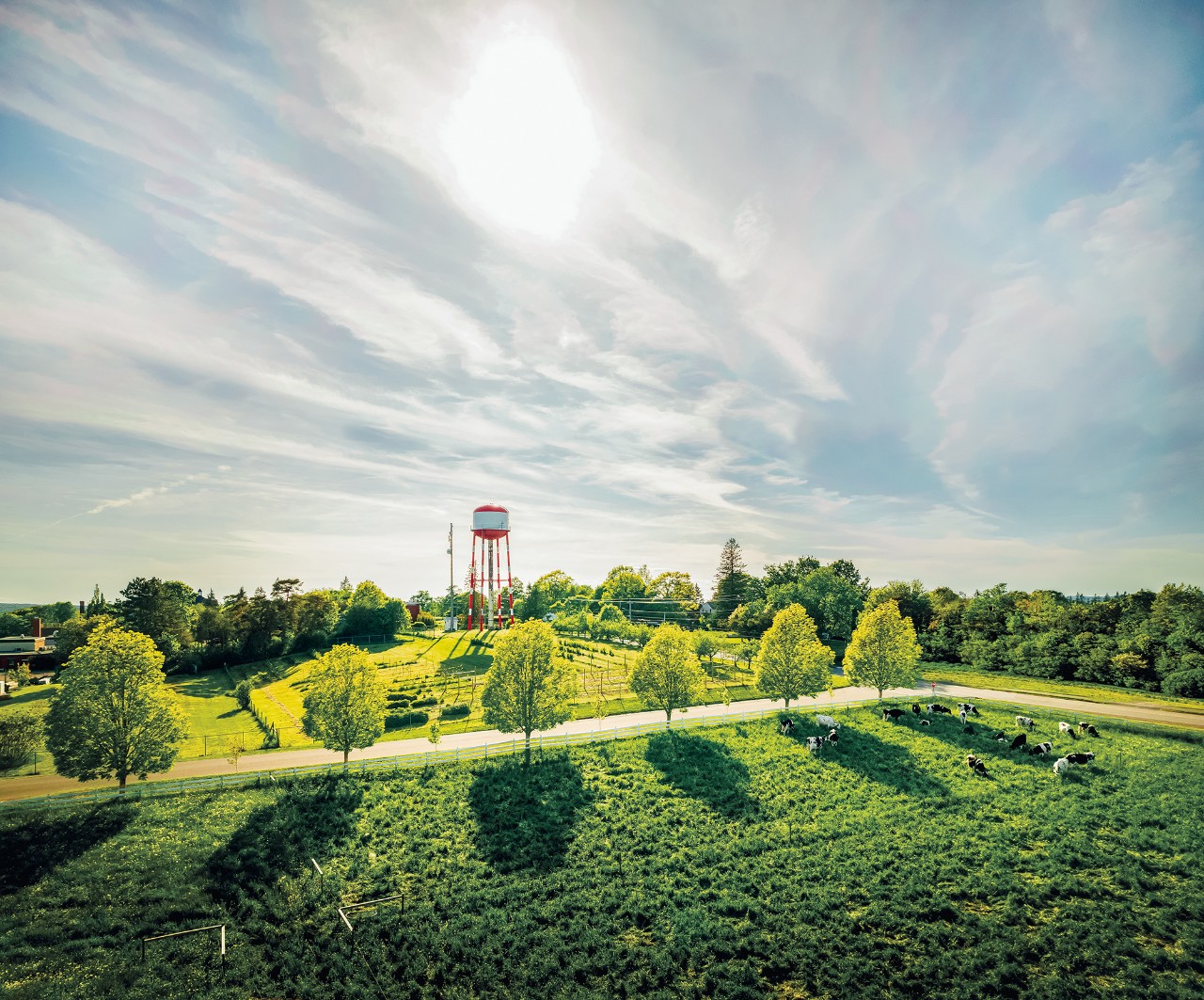 Aerial view of green fields with a red watertower and blue skies.