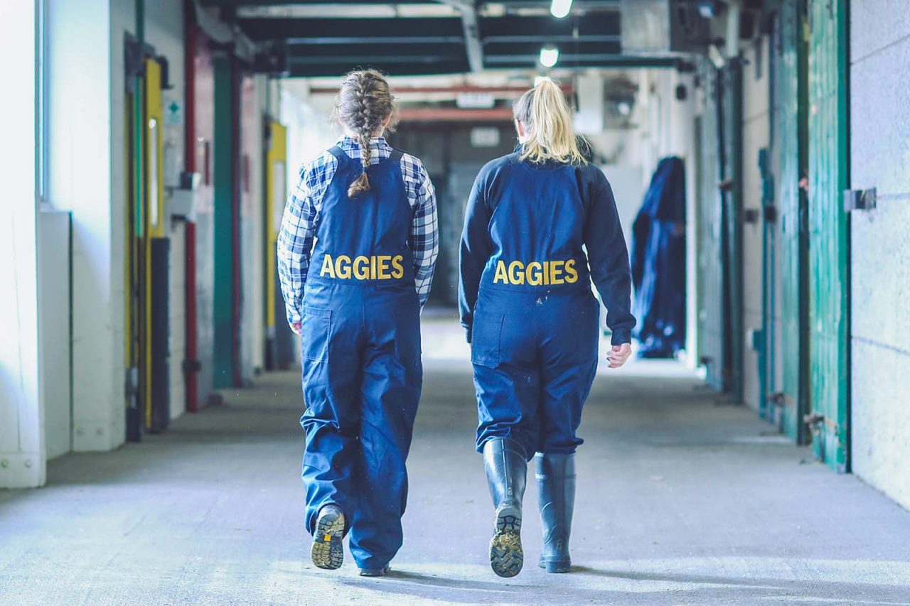 Students in Aggies overalls walking through a barn on the Truro campus.