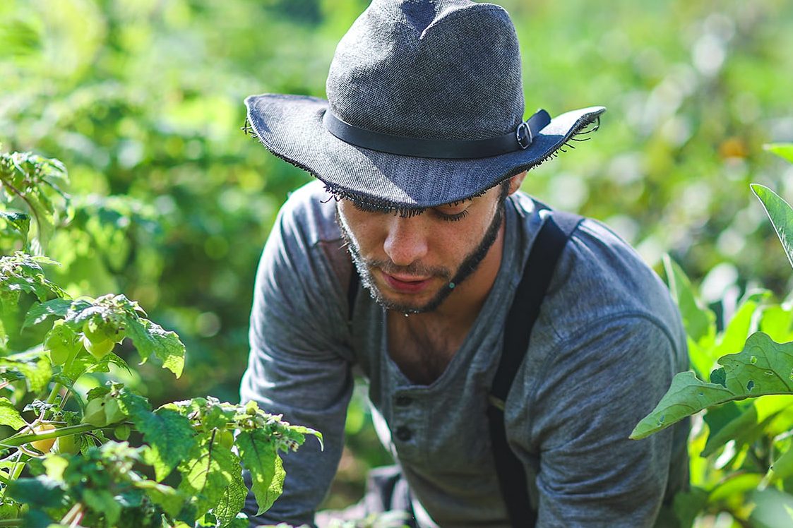 Student working in a garden on a plant Recruitment Campaign 2021