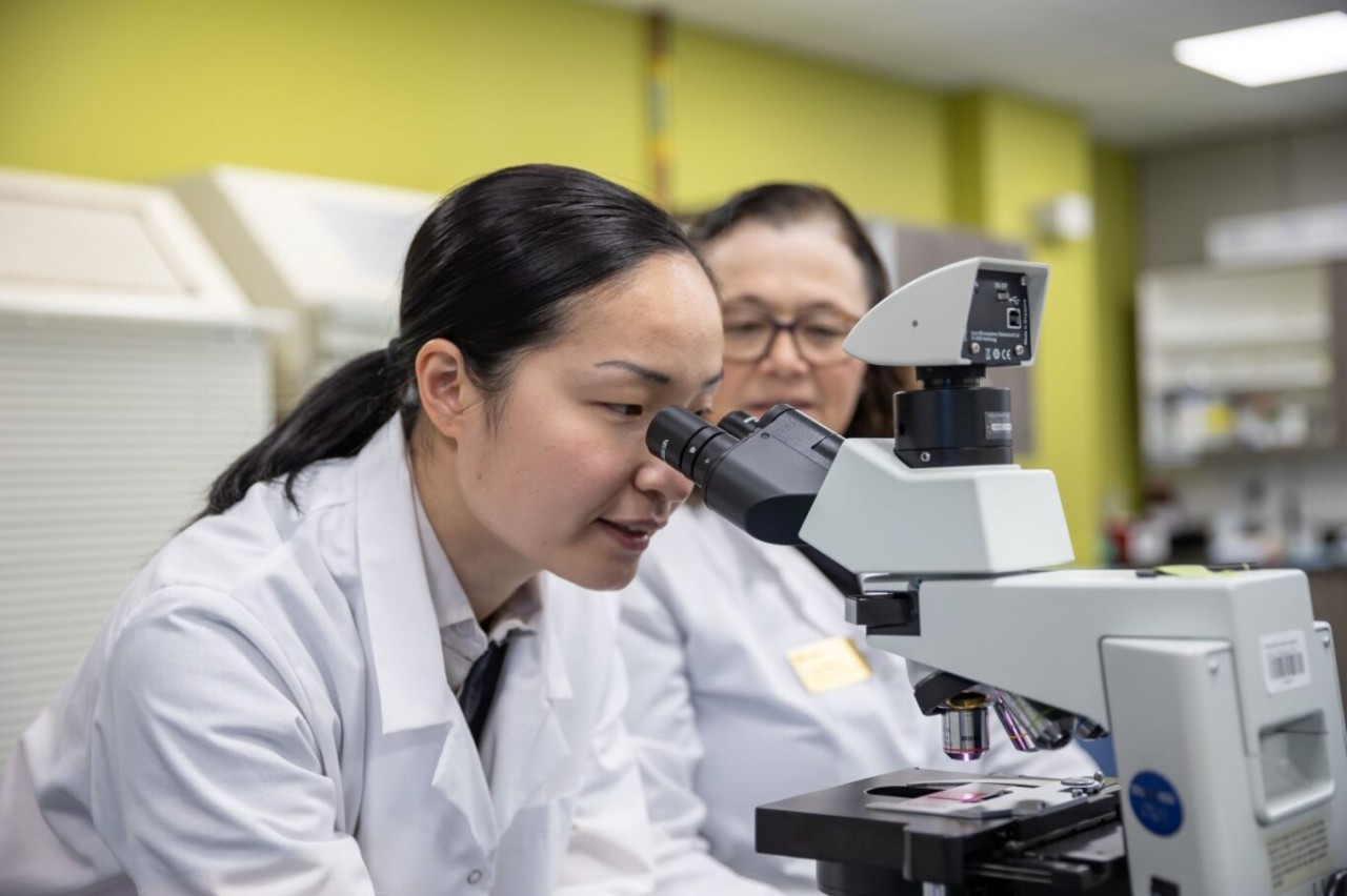 Two scientists in lab coats, one looking through a microscope, while the other observes