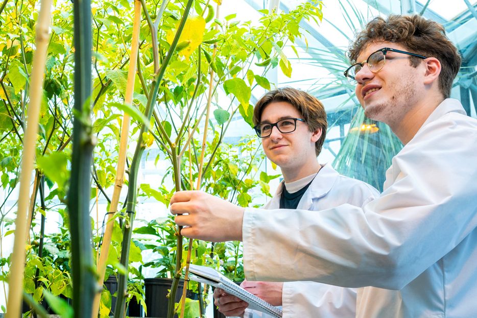 Two students in lab coats in a greenhouse