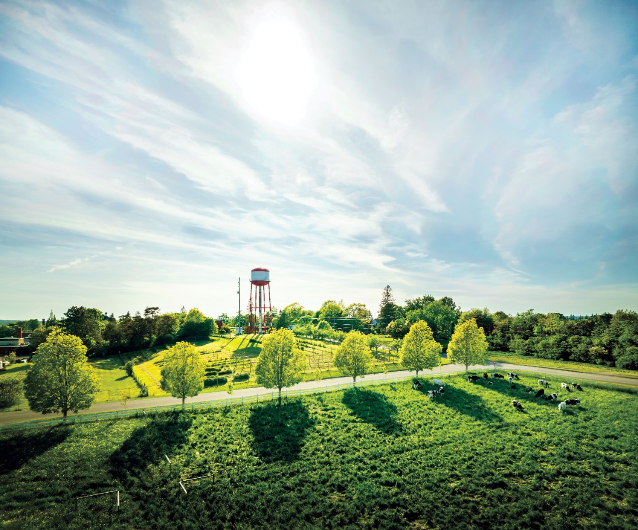 Red watertower in distance with green fields and trees in foreground. Blue sky with clouds in the background.