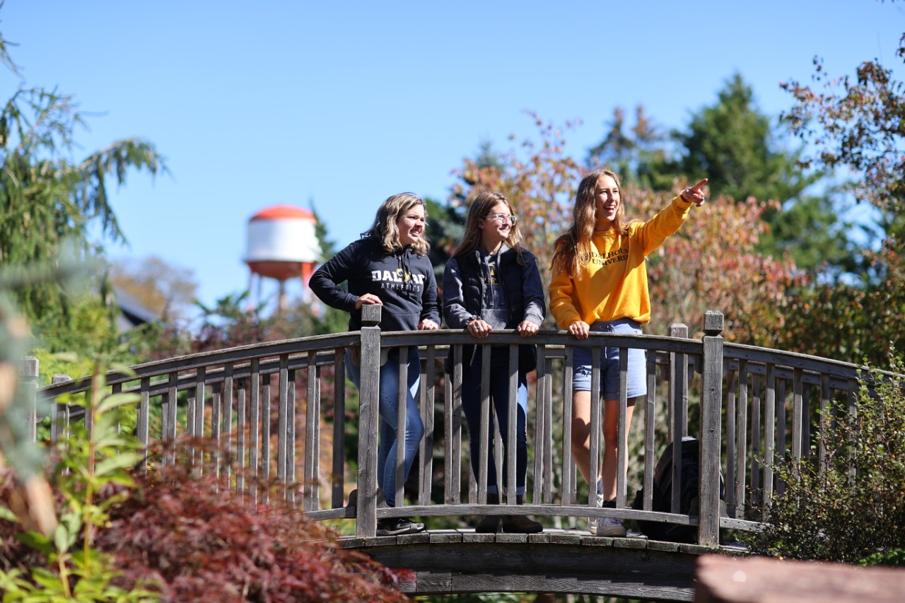 students standing on wooden footbridge