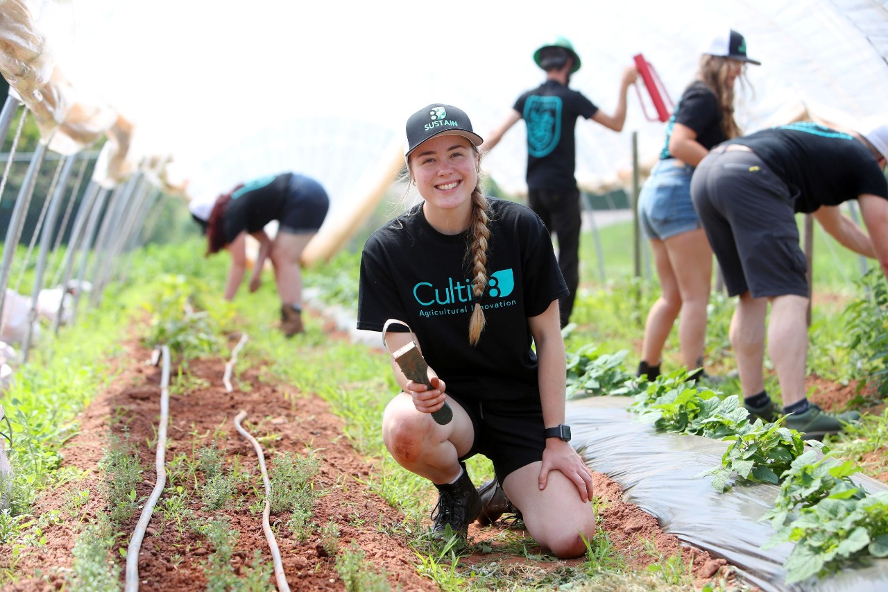 A person kneeling down in an organic vegetable garden with others working in the background.