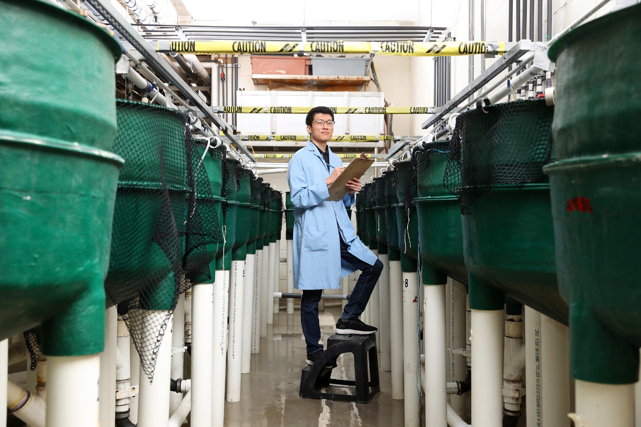 Student wearing a blue lab coat holding a clipboard standing on a stool next to green tanks.