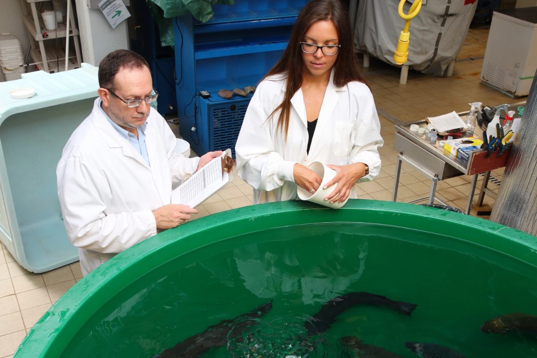 Two people in white lab coats looking into a basin of swimming fish in an indoor space.