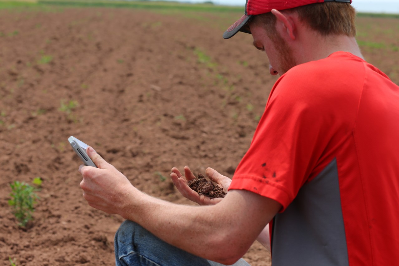 A person kneeling down in a field with a handful of soil and a handheld device.