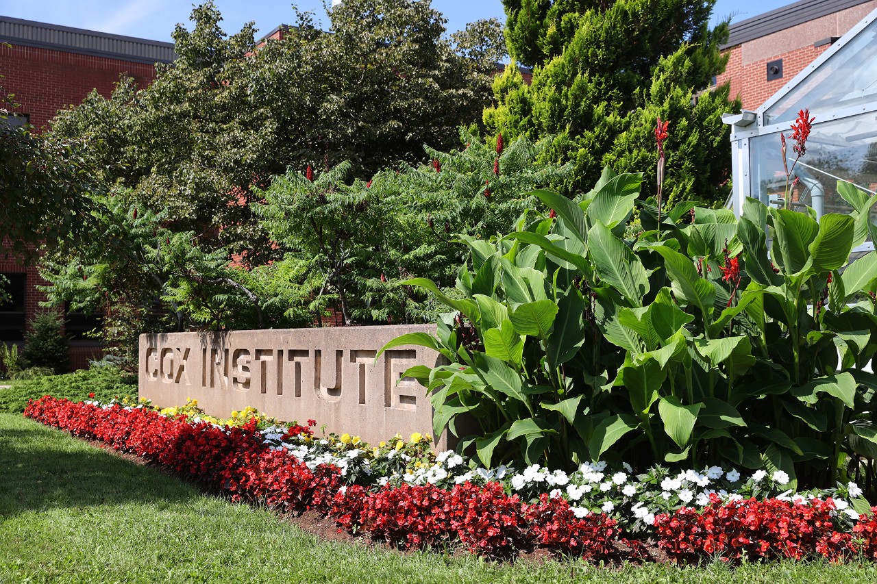 The Cox Institute sign surrounded by lush foilage.