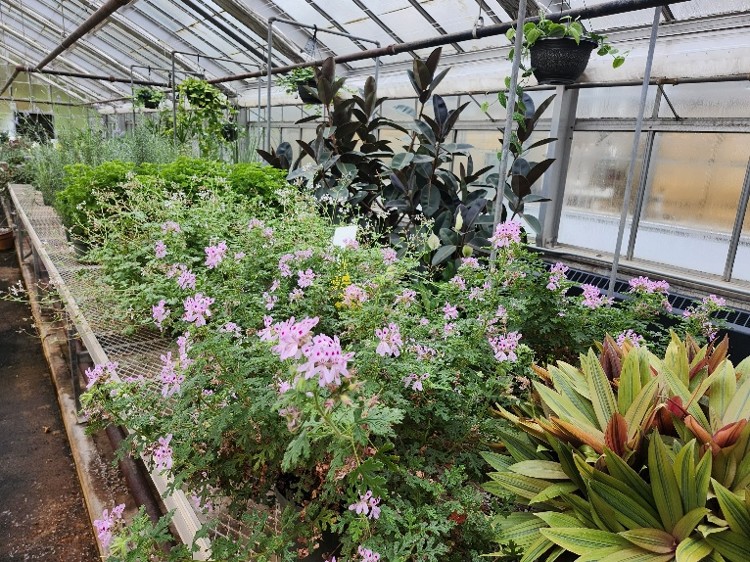 Horticulture Environmental Adaptation Lab