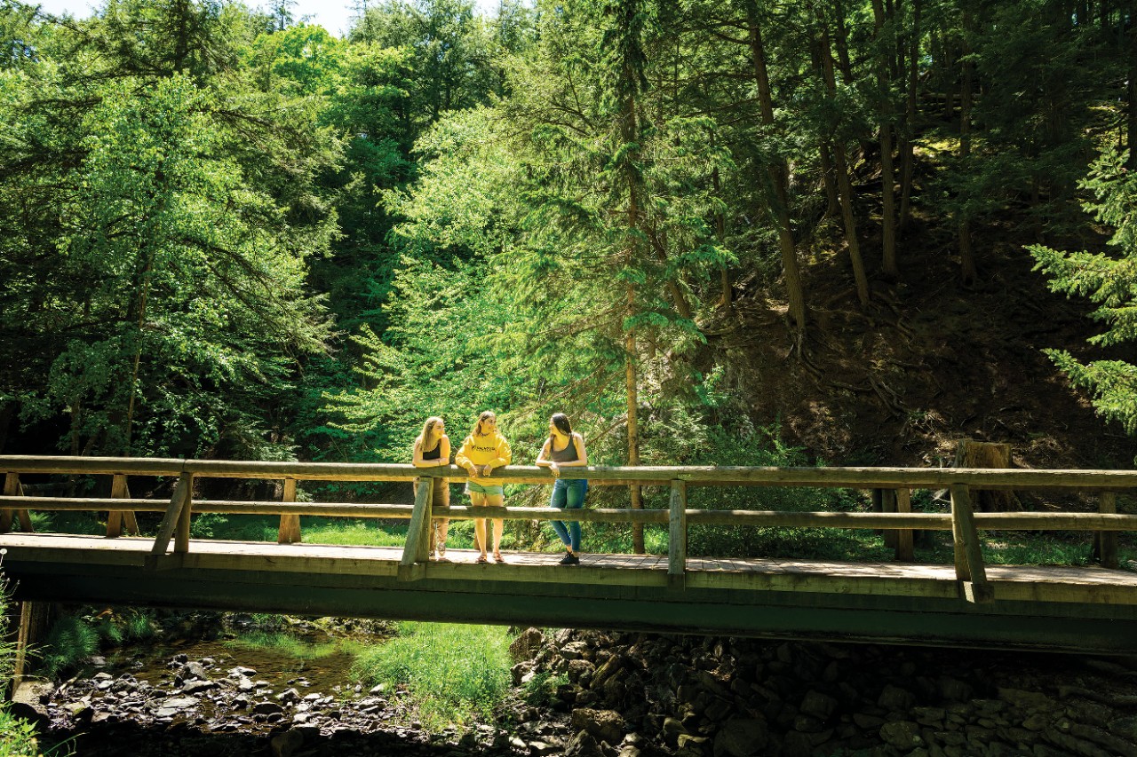 Three female students stand on a log bridge spanning a creek. Large evergreen trees can be seen in the background.