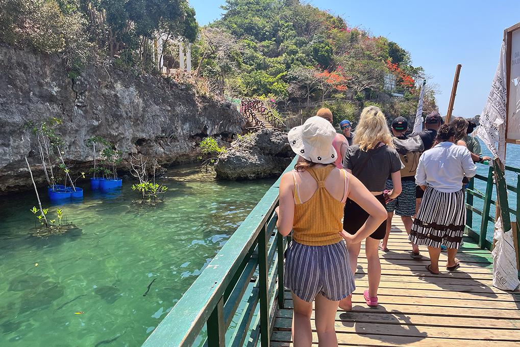 Students stand on a dock overlooking bright blue-green water. There is a cliff in the background.