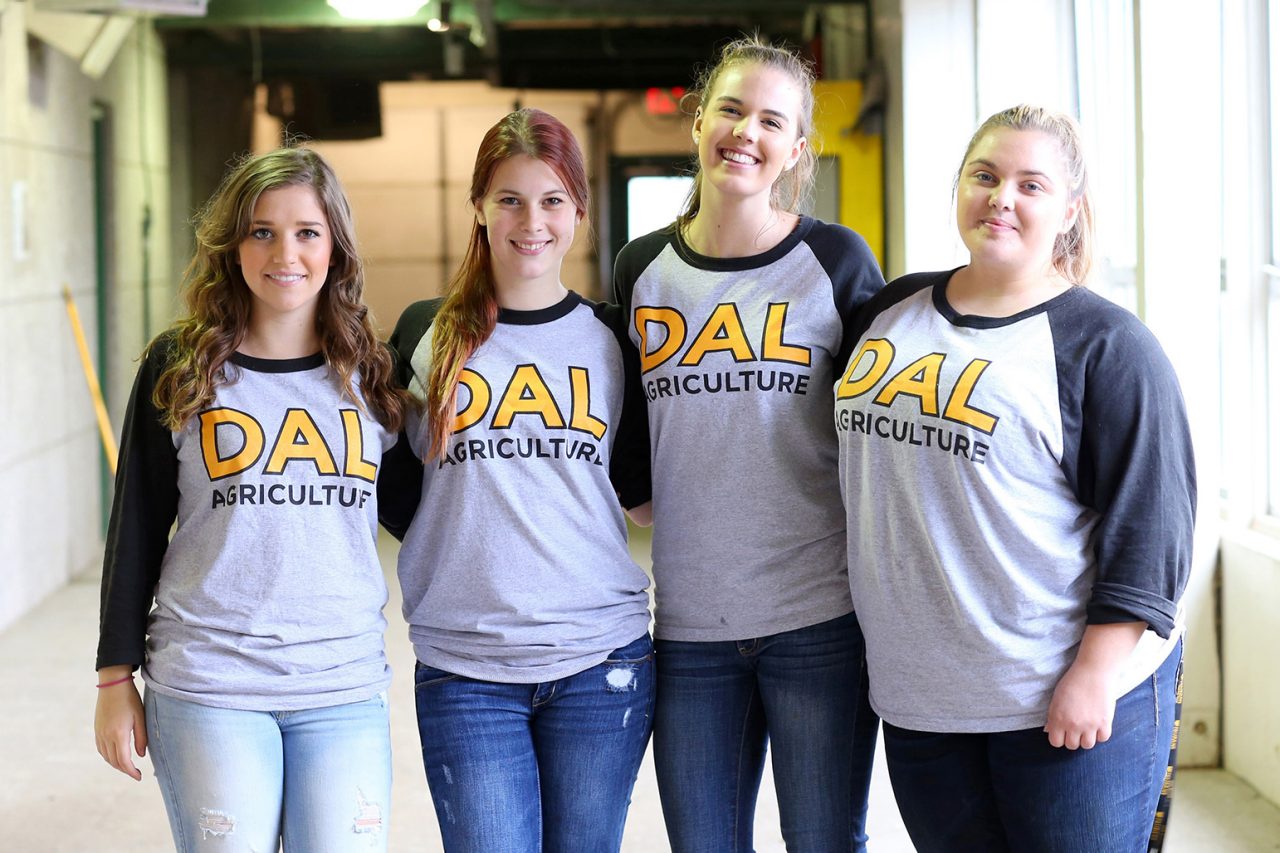 Four students wearing "Dal Agriculture" baseball shirts and jeans stand in a hallway with their arms around each other.